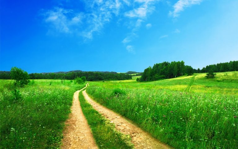 From the Concrete Jungle to the Wild: A Beginner’s Guide to Embracing the Great Outdoors