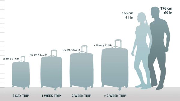 Expandable Spinner Carry On, Black, 19-Inch - Image 2